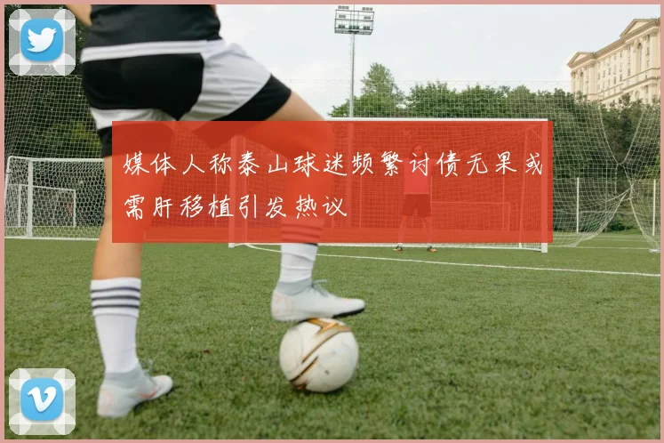 媒体人称泰山球迷频繁讨债无果或需肝移植引发热议