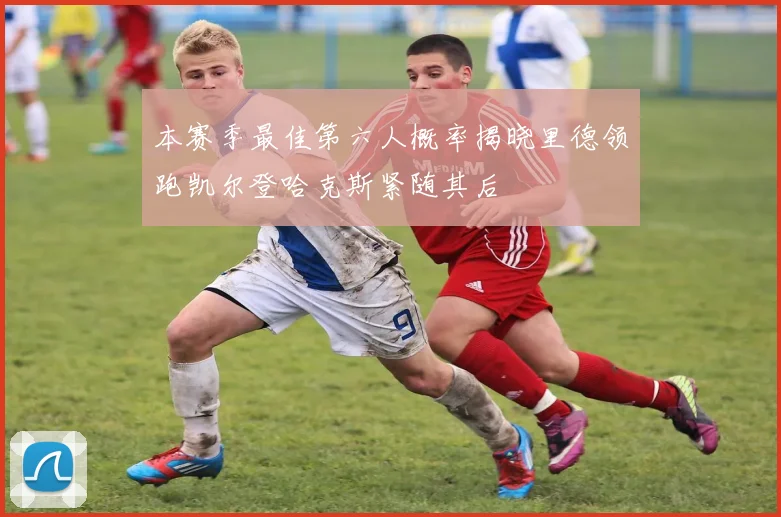 本赛季最佳第六人概率揭晓里德领跑凯尔登哈克斯紧随其后