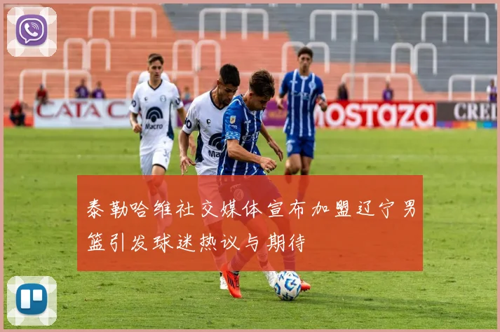 泰勒哈维社交媒体宣布加盟辽宁男篮引发球迷热议与期待