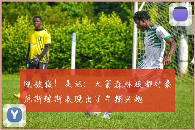 刚被裁！美记：火箭森林狼都对泰厄斯琼斯表现出了早期兴趣